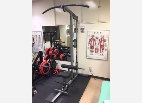 マシン body solid製 ラットマシン